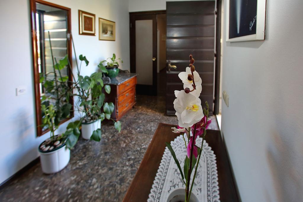 Apartments Andreja Pag Town Dış mekan fotoğraf